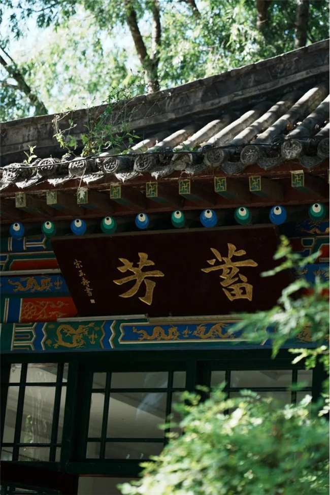 西宁：大西北的 “三无” 避暑秘境，夏季平均气温 15.1℃的清凉之都