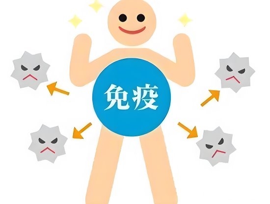 蛋白粉有什么功效？增强抵抗力如何做？