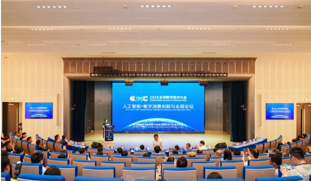 在2025全球数字经济大会上，如视这项方案再上榜