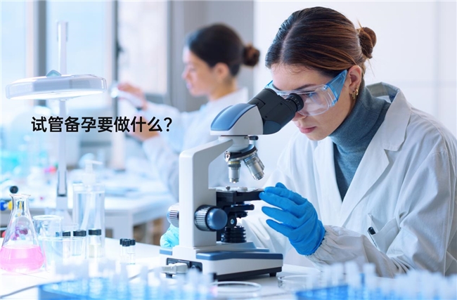 尊龙凯时平台|御海棠自由的小说阅读网|试管备孕调理攻略：试管备孕要做什么