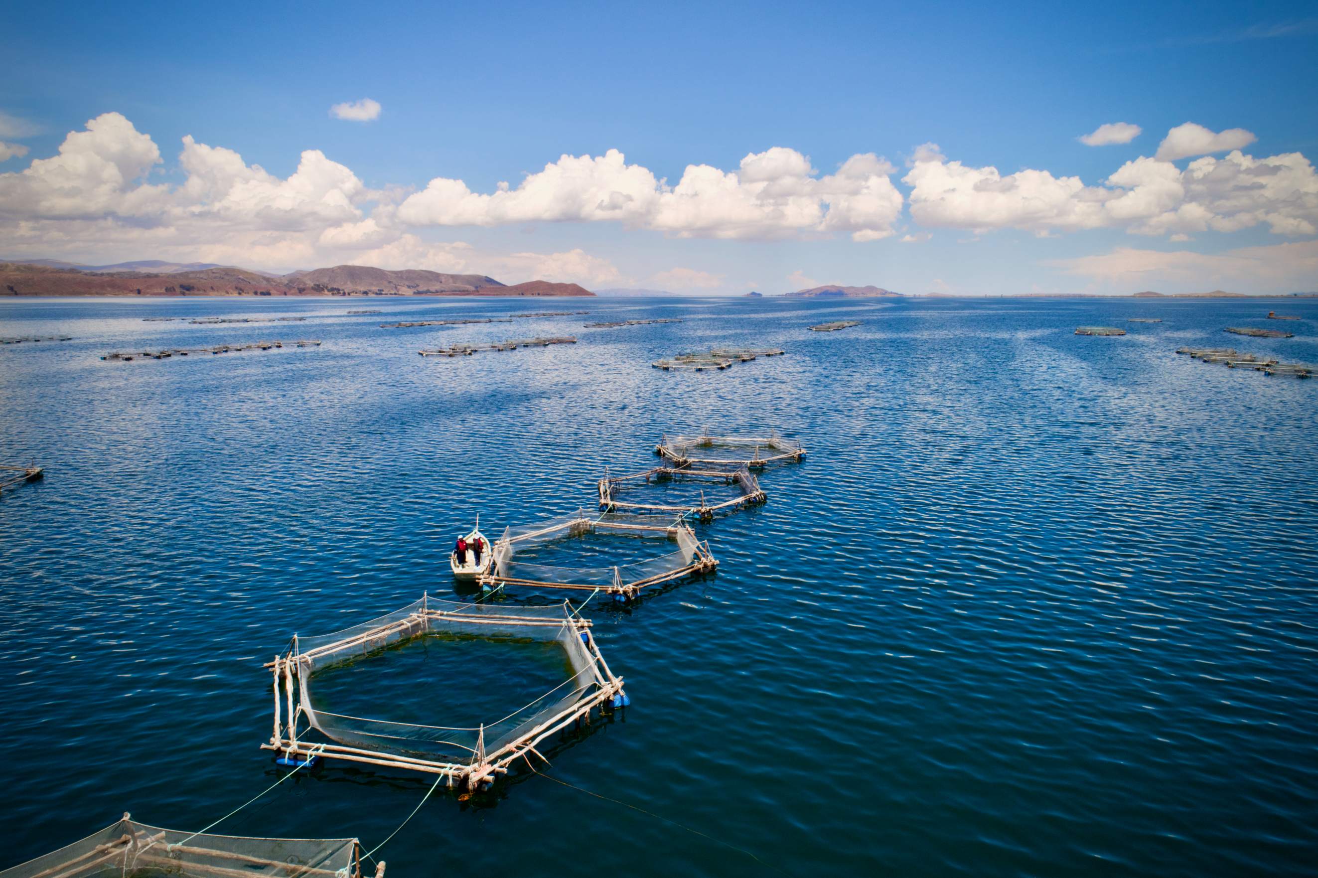 DJI_0038.jpg
