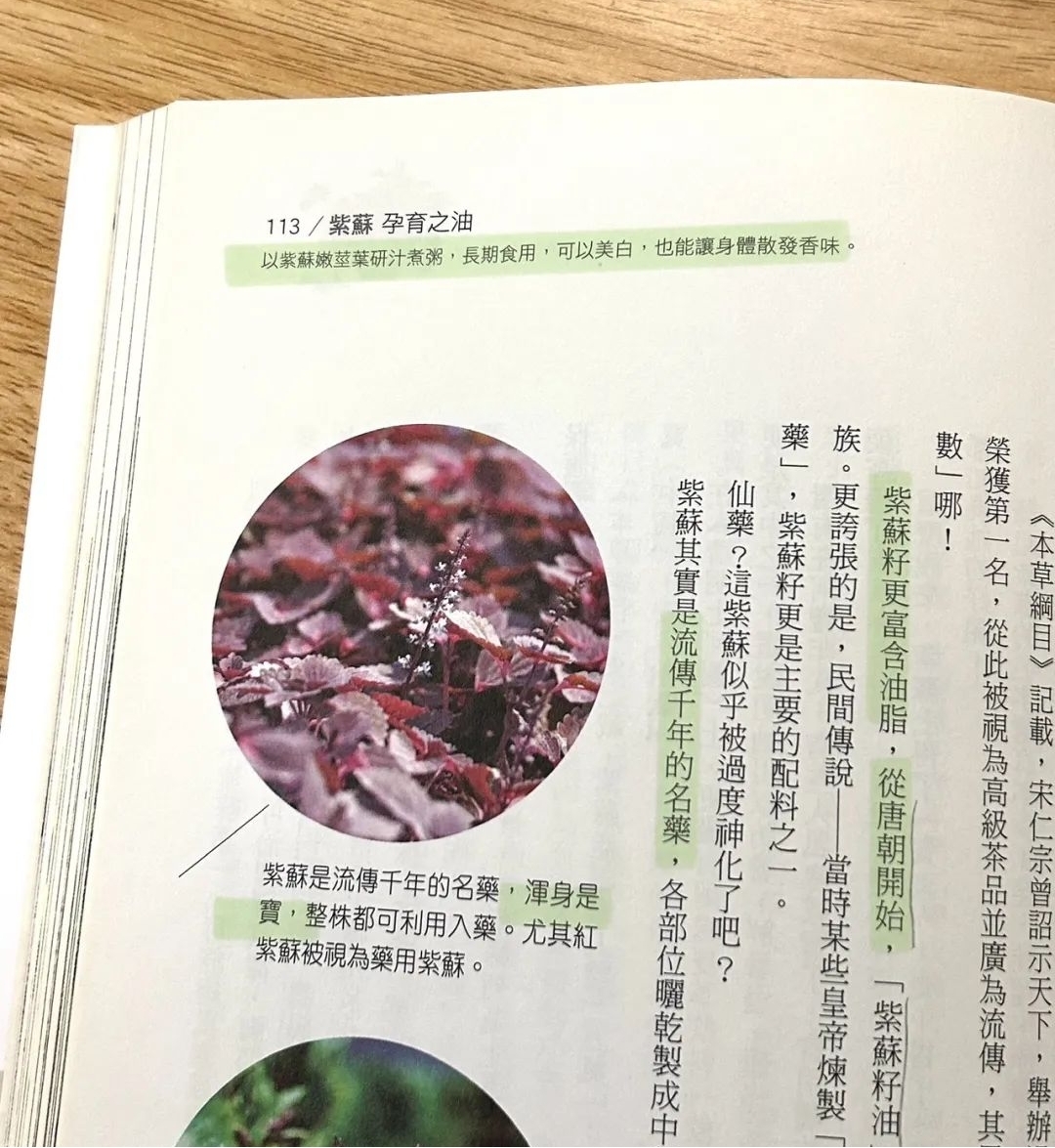 070902.jpg
