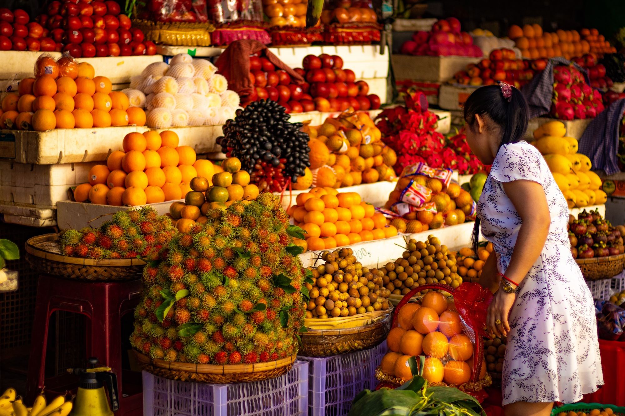 shutterstock_1665030322_副本.jpg