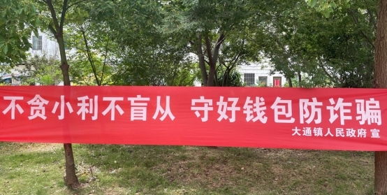 天长市大通镇：织密防非宣传网 筑牢金融安全防线
