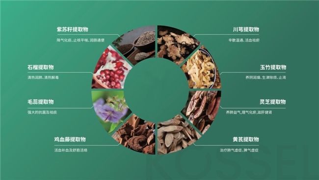 院士团队领衔 科赛尔Kossel以植物力量守护现代人呼吸健康