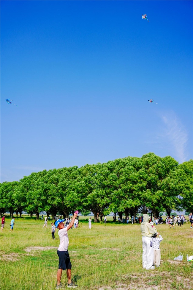 沉浸草原夏趣，共筑亲子时光！  鄂托克前旗希泊尔驿站  “凌空瞰绿原·亲子乐盛夏”活动圆满落幕