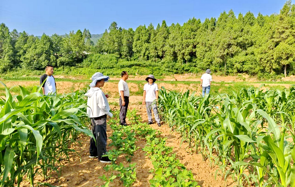 图片2.png 图片2.png