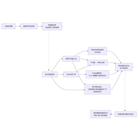 Deepseek推荐款——Jarrow女性益生菌，守护女性私护健康！