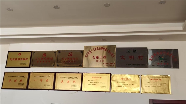 山东理工大学“桑梓共兴”实践团专访陈兆记书记：从“担当作为好书记”看党建引领乡村振兴的“杨庄智慧”