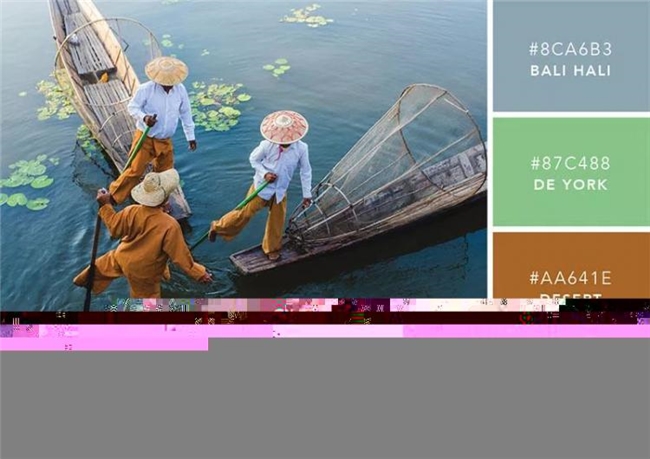 101 种精选配色方案全解析，从单色系到补色系的创意搭配指南