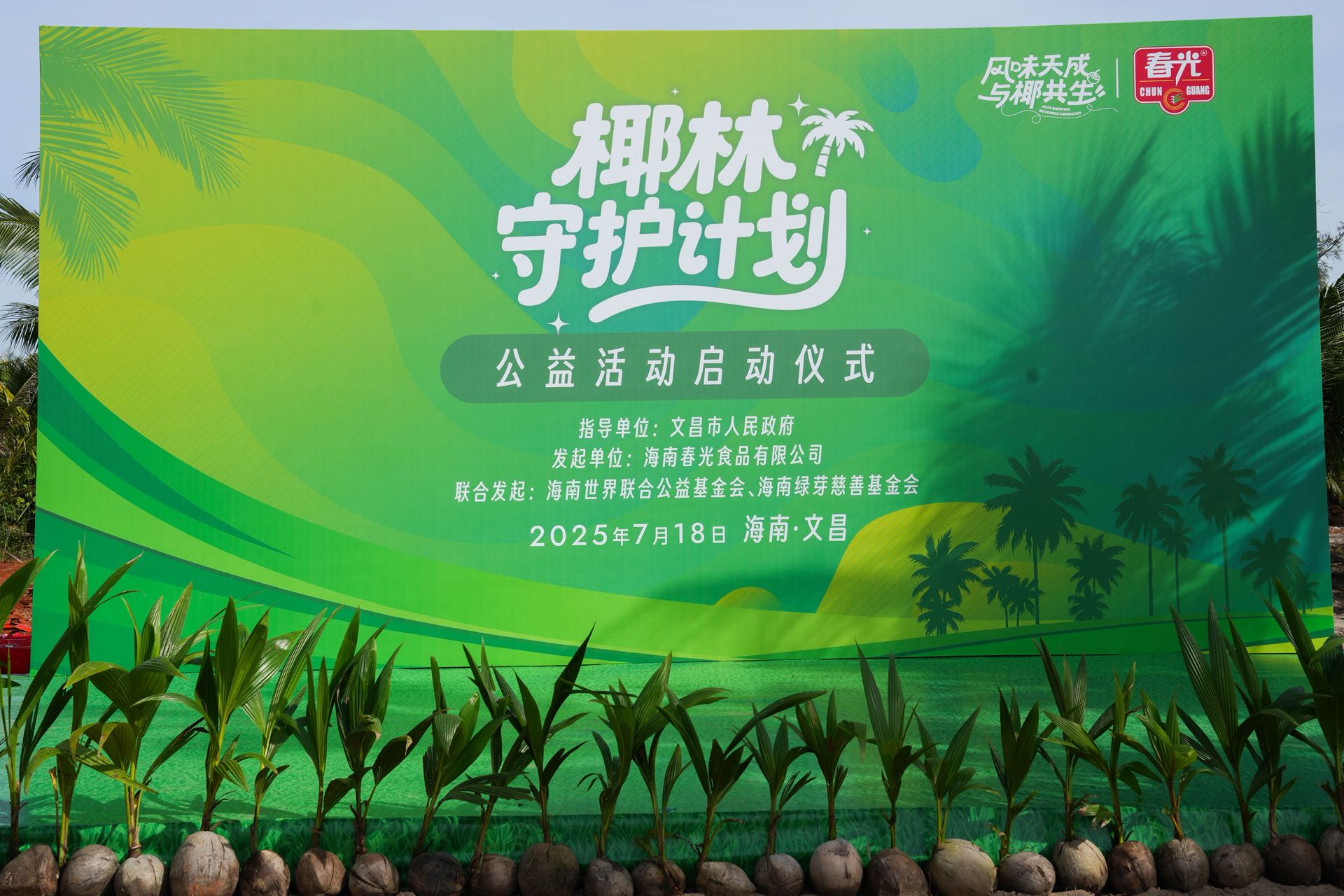 万棵椰苗扎根文昌 春光食品启动“椰林守护计划”打造可持续公益样本-中小企业网