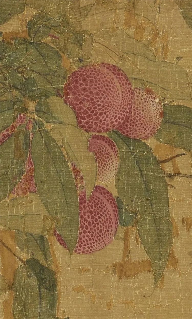 御苑荔香，宋徽宗的荔枝情结与北宋院体画的巅峰之作