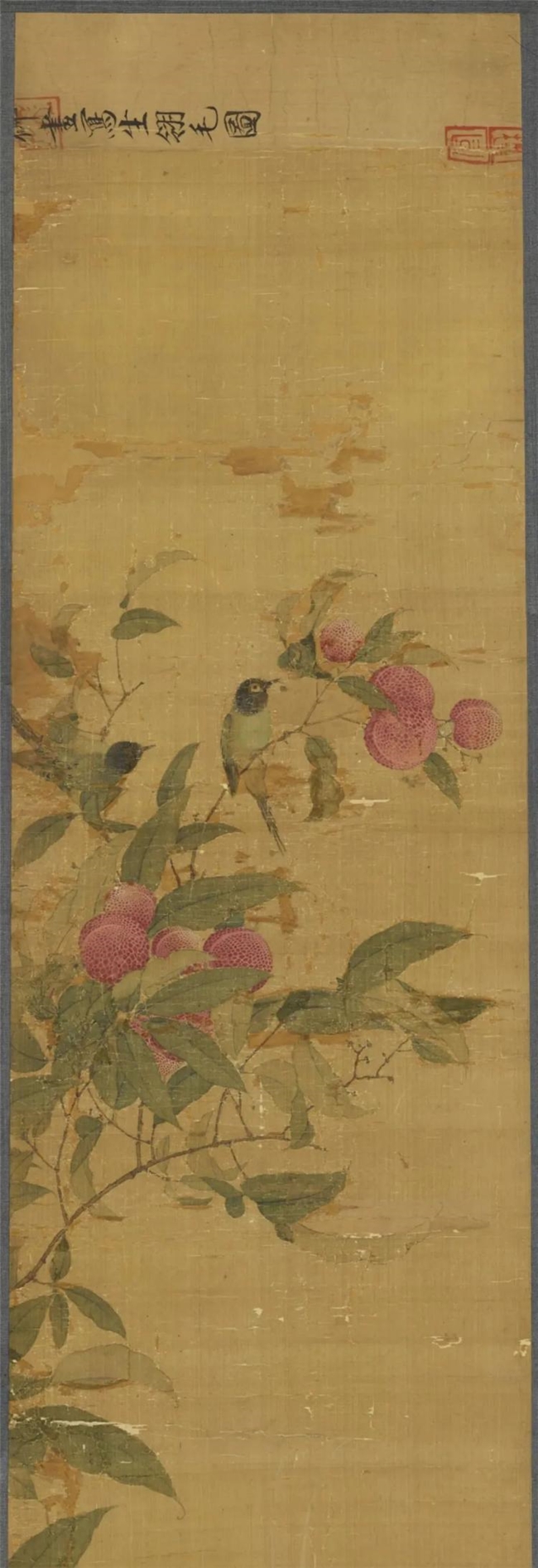 御苑荔香，宋徽宗的荔枝情结与北宋院体画的巅峰之作