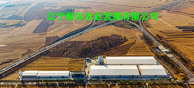 国家和省级粮食局领导莅临辽宁绿谷农业指导工作