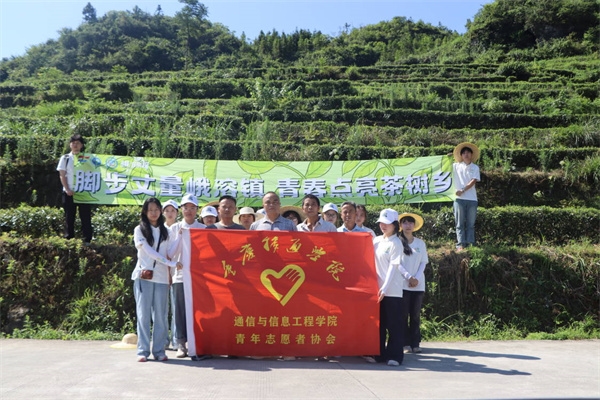 重庆移通学院暑期“三下乡”——古茶树0001：茶链上云进行时