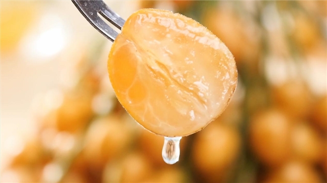 郁南黄皮：深耕大湾区，药食同源“宝藏果”驱动乡村振兴绿色引擎