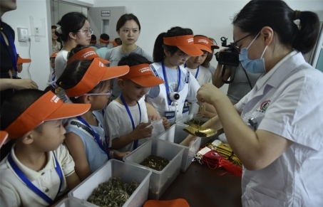 广元市中医医院：2025年暑期中医药科普夏令营活动举行(图2)