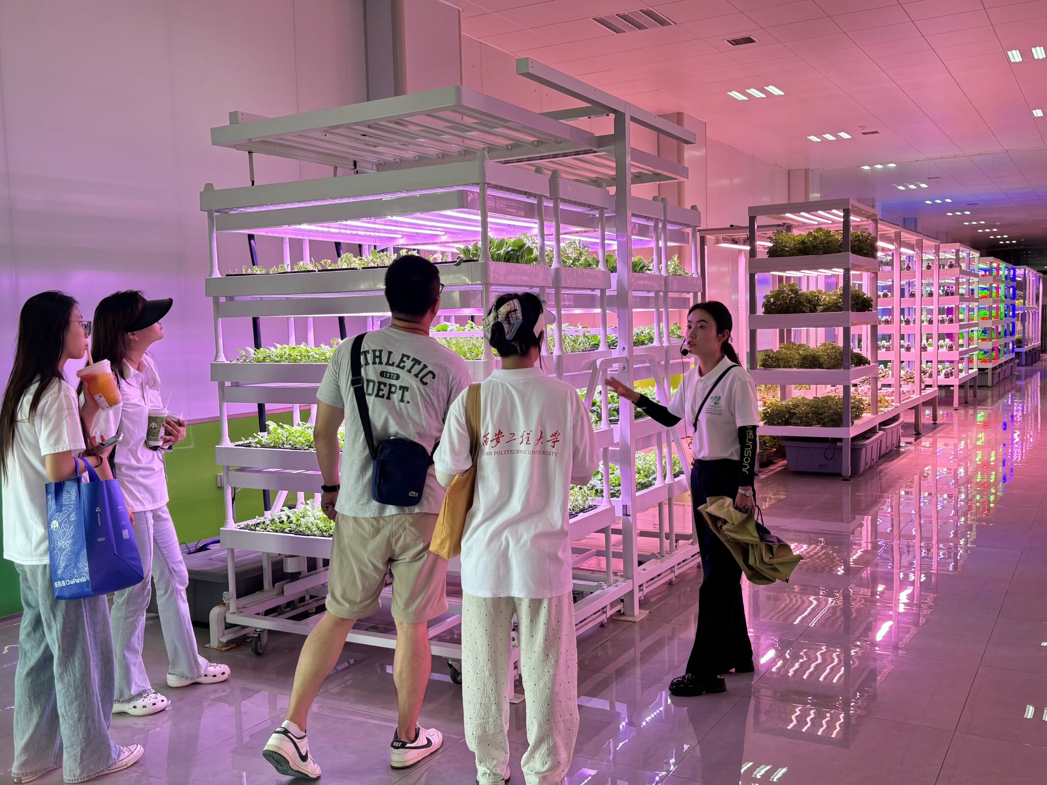 实践队参观杨凌智慧农业示范园1.png