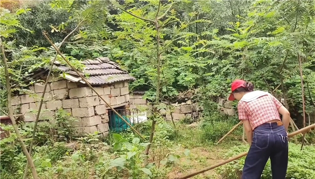 青春筑暖巢，志愿伴桑榆---暑期志愿服务活动(图5)