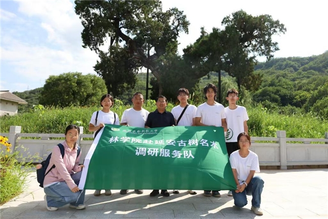 心系公益行善举，古树名木需保护(图4)