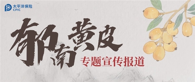 岭南“小金果”的全球之旅：郁南黄皮书写中国农产品出海传奇