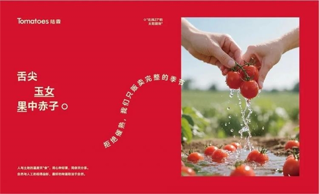 不止包装逆袭！农产品用视觉设计讲好品牌故事，变身年轻潮品
