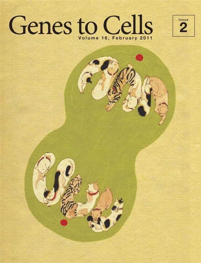 科学与浮世绘的奇妙碰撞，《Genes to Cells》封面设计赏析