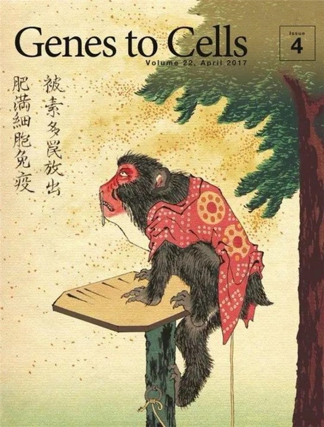 科学与浮世绘的奇妙碰撞，《Genes to Cells》封面设计赏析