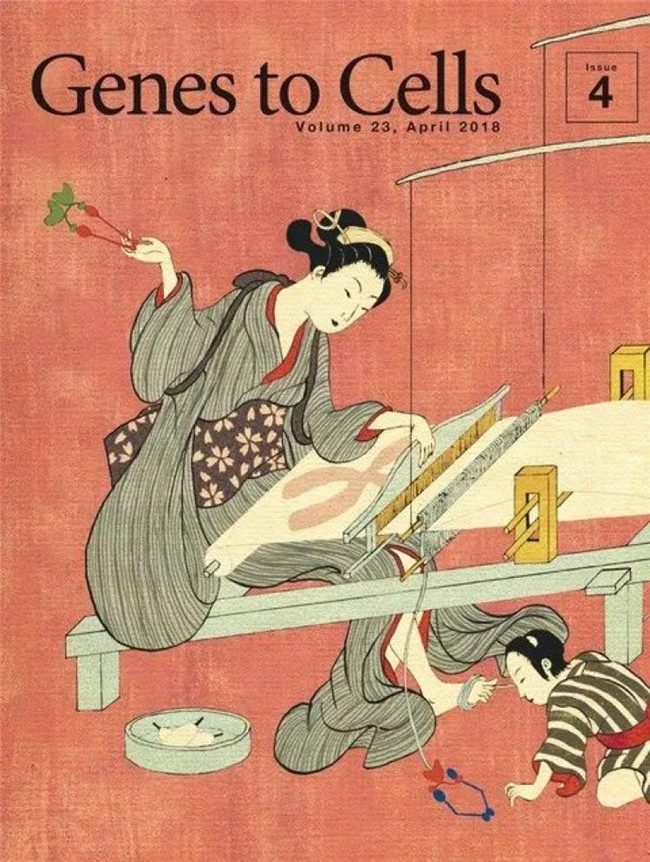 科学与浮世绘的奇妙碰撞，《Genes to Cells》封面设计赏析