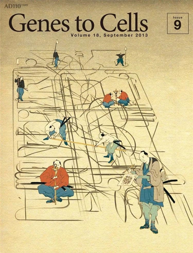 科学与浮世绘的奇妙碰撞，《Genes to Cells》封面设计赏析