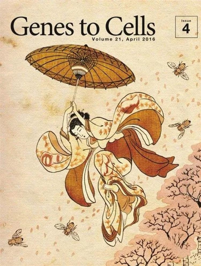 科学与浮世绘的奇妙碰撞，《Genes to Cells》封面设计赏析