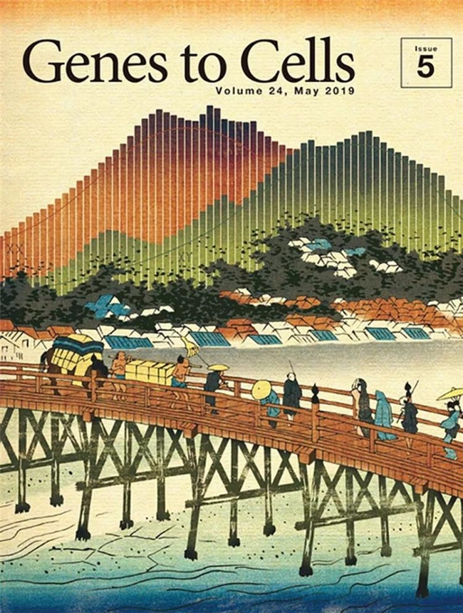 科学与浮世绘的奇妙碰撞，《Genes to Cells》封面设计赏析
