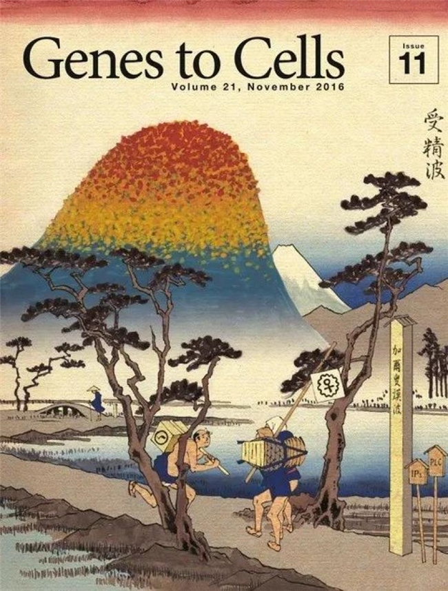 科学与浮世绘的奇妙碰撞，《Genes to Cells》封面设计赏析