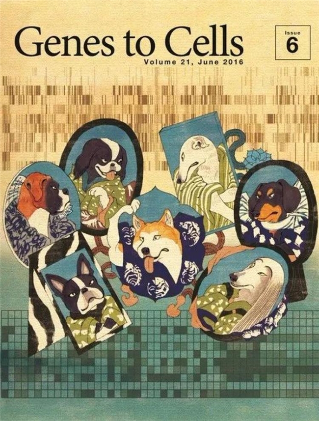 科学与浮世绘的奇妙碰撞，《Genes to Cells》封面设计赏析