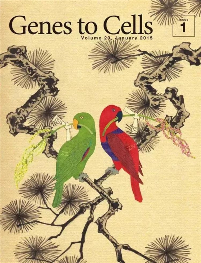科学与浮世绘的奇妙碰撞，《Genes to Cells》封面设计赏析