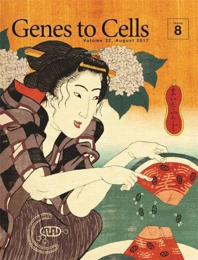 科学与浮世绘的奇妙碰撞，《Genes to Cells》封面设计赏析