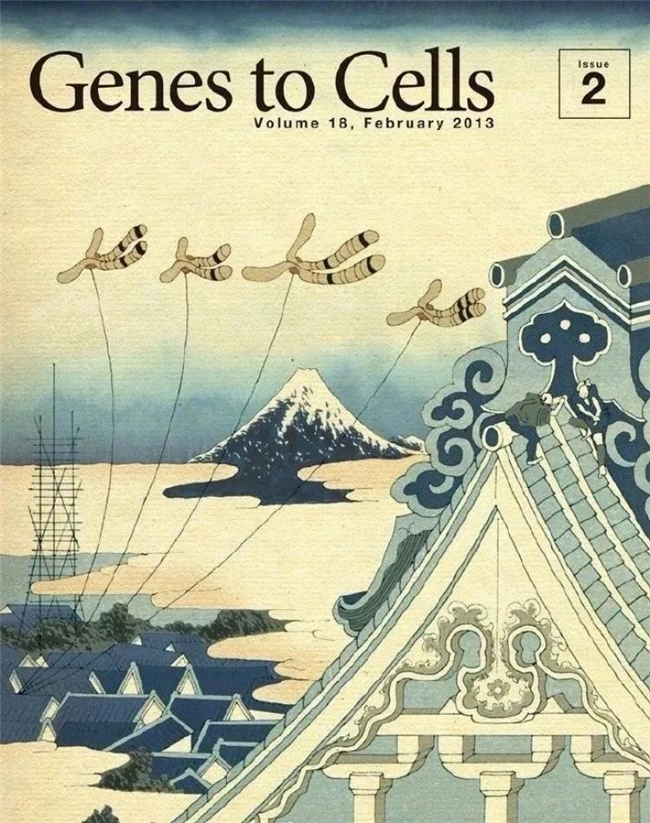 科学与浮世绘的奇妙碰撞，《Genes to Cells》封面设计赏析