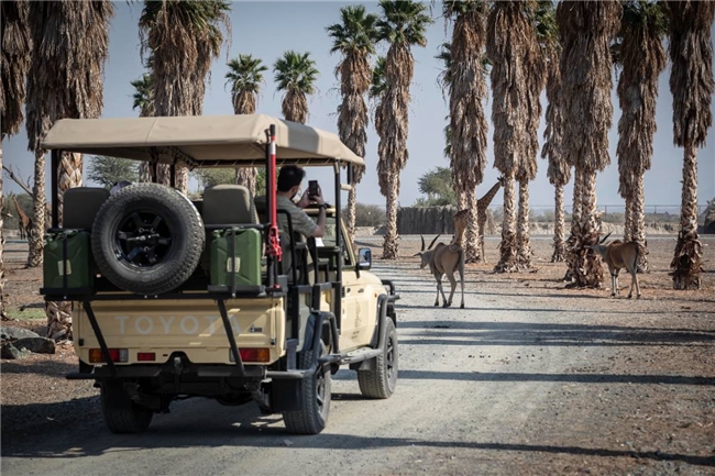 沙迦全域游玩宝典，一文打包最全景点