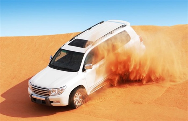 沙迦全域游玩宝典，一文打包最全景点