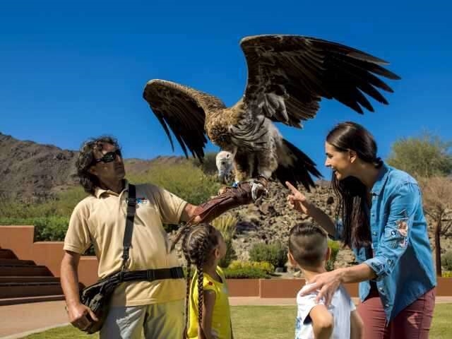 沙迦全域游玩宝典，一文打包最全景点