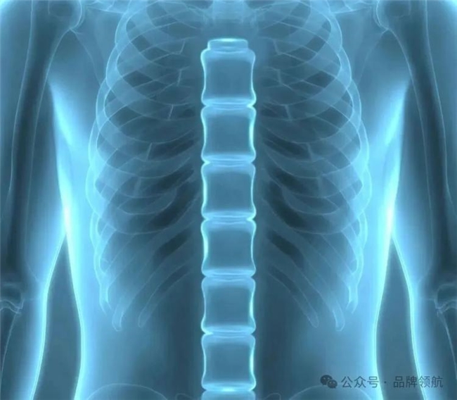 当包装对话自然,仿生学设计让美感与实用共生长