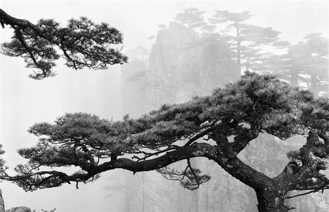 黑白光影里的黄山诗学，汪芜生用半世纪追寻山水摄影的禅意灵魂
