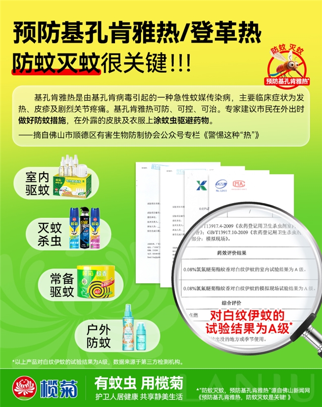 传播基孔肯雅热/登革热伊蚊为啥“盯”上你家？榄菊揭秘其家栖化习性与防护招数