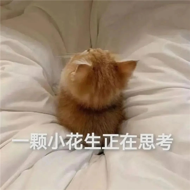 换电视不迷路，跟着全球权威评测机构Rtings买准没错！(图1)