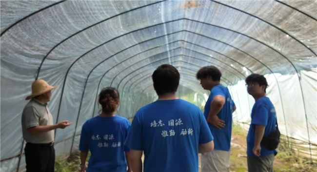 以菌为媒，以青春为笔——陕西理工大学实践团解码汉中食用菌乡村振兴密码(图10)