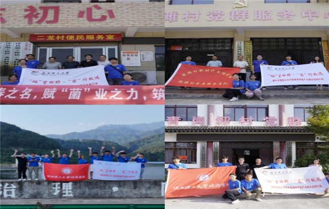 以菌为媒，以青春为笔——陕西理工大学实践团解码汉中食用菌乡村振兴密码(图11)