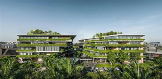 曼谷111号办公绿谷，密集社区中的自然与协作型工作空间设计