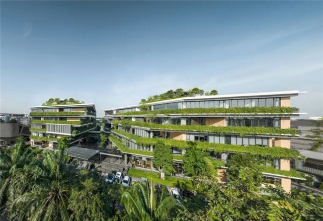 曼谷111号办公绿谷，密集社区中的自然与协作型工作空间设计
