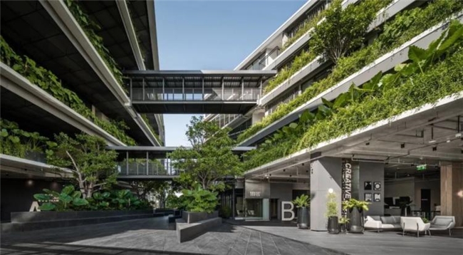 曼谷111号办公绿谷，密集社区中的自然与协作型工作空间设计