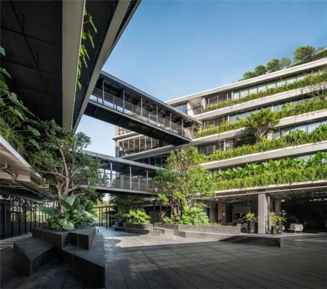 曼谷111号办公绿谷，密集社区中的自然与协作型工作空间设计